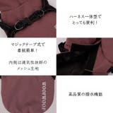 犬服 レインコート ハーネス | Gain-Mart | 詳細画像2