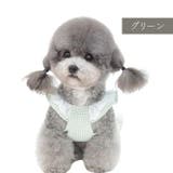 犬服 ワンピース ドッグウェア | Gain-Mart | 詳細画像8