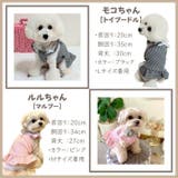 犬服 ワンピース ドッグウェア | Gain-Mart | 詳細画像10