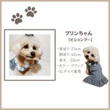 犬服 ワンピース ドッグウェア | Gain-Mart | 詳細画像11