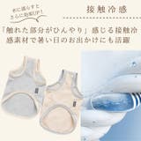 犬 犬服 クール | Gain-Mart | 詳細画像3 
