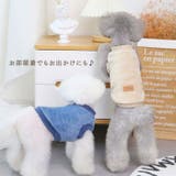 犬服 冬服 秋服 | Gain-Mart | 詳細画像5 
