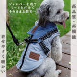 犬 冬服 ハーネス付き | Gain-Mart | 詳細画像2