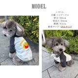 犬 トレーナー ポテト柄 | Gain-Mart | 詳細画像11