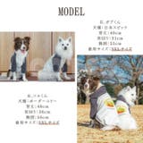 犬 トレーナー ポテト柄 | Gain-Mart | 詳細画像12