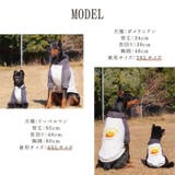 犬 トレーナー ポテト柄 | Gain-Mart | 詳細画像13