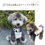 犬 トレーナー ポテト柄 | Gain-Mart | 詳細画像7