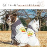 犬 トレーナー ポテト柄 | Gain-Mart | 詳細画像8