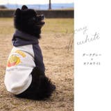 犬 トレーナー ポテト柄 | Gain-Mart | 詳細画像9