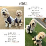 犬 トレーナー ポテト柄 | Gain-Mart | 詳細画像10