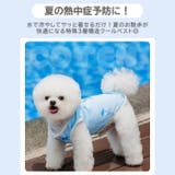 犬 クールベスト 夏服 | Gain-Mart | 詳細画像2 