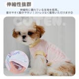 犬 夏服 クール | Gain-Mart | 詳細画像5 