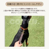 犬 ショートリード 本革 | Gain-Mart | 詳細画像2 