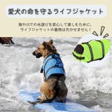 犬 ライフジャケット 救命胴衣 | Gain-Mart | 詳細画像2