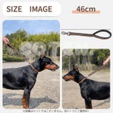 犬 ショートリード ロック付き | Gain-Mart | 詳細画像8 