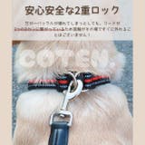 犬 首輪 ダブルリング | Gain-Mart | 詳細画像2