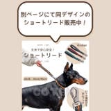 犬 首輪 ダブルリング | Gain-Mart | 詳細画像7