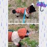犬服 レインコート フルカバー | Gain-Mart | 詳細画像8