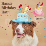 犬 猫 誕生日 | Gain-Mart | 詳細画像1