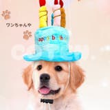 犬 猫 誕生日 | Gain-Mart | 詳細画像2