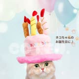 犬 猫 誕生日 | Gain-Mart | 詳細画像3