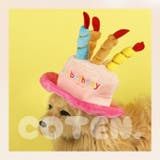 犬 猫 誕生日 | Gain-Mart | 詳細画像6