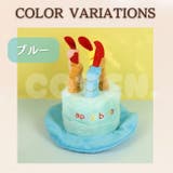 犬 猫 誕生日 | Gain-Mart | 詳細画像7