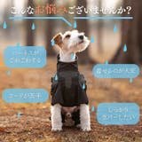 犬 レインコート ハーネス付き | Gain-Mart | 詳細画像2