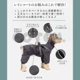 犬 レインコート ハーネス付き | Gain-Mart | 詳細画像3