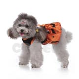 犬 猫 ハロウィン | Gain-Mart | 詳細画像5 