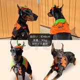犬 猫 ハロウィン | Gain-Mart | 詳細画像9 