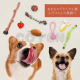 犬 おもちゃ 15点セット | Gain-Mart | 詳細画像3