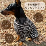 大型犬 服 もこもこトップス | Gain-Mart | 詳細画像2