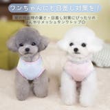 犬 服 クール | Gain-Mart | 詳細画像2