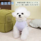 犬 服 クール | Gain-Mart | 詳細画像4