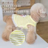 犬服 春 夏 | Gain-Mart | 詳細画像3