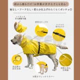 犬 レインコート ポンチョ | Gain-Mart | 詳細画像2