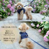 犬 ハーネス リード | Gain-Mart | 詳細画像2