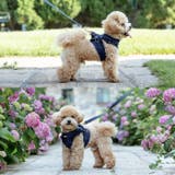犬 ハーネス リード | Gain-Mart | 詳細画像8