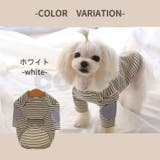 犬服 冬服 ボーダー | Gain-Mart | 詳細画像8