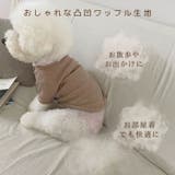 犬服 ワッフル生地 ボタン付きロンT | Gain-Mart | 詳細画像2