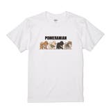 ポメラニアン Tシャツ 半袖 | Gain-Mart | 詳細画像2