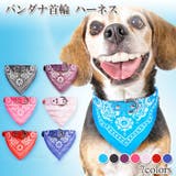 首輪 犬 選べる5サイズ | Gain-Mart | 詳細画像1