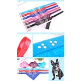 首輪 犬 選べる5サイズ | Gain-Mart | 詳細画像4