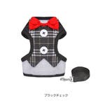 リード ハーネス セット | Gain-Mart | 詳細画像15