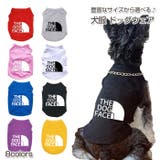 犬服 ドッグウェア 春夏 | Gain-Mart | 詳細画像1