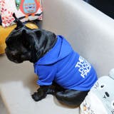 犬服 フード ドッグウェア | Gain-Mart | 詳細画像7