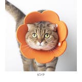 ペット ソフト エリザベスカラー | Gain-Mart | 詳細画像11 