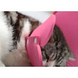 ペット ソフト エリザベスカラー | Gain-Mart | 詳細画像3 