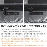 当店限定色エース スーツケース ACE | ギャレリア Bag＆Luggage | 詳細画像6 